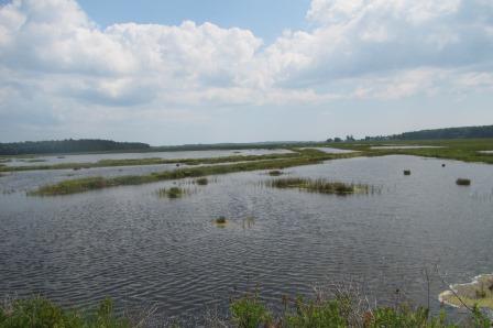 image of Scarborough Marsh taken from the Eastern Trail
