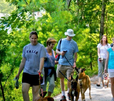People and dogs walking on trail