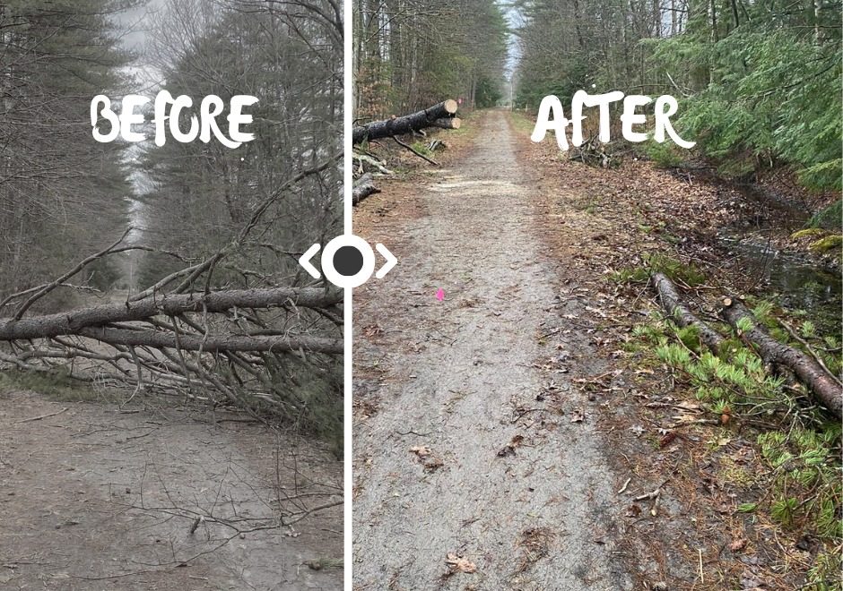 Before after picture of trail repairs